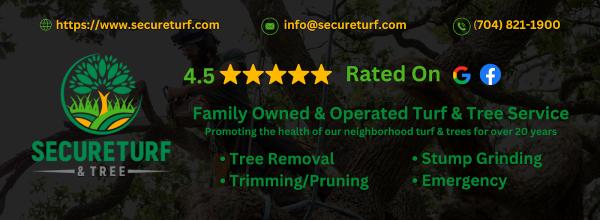 Secure Tree Services