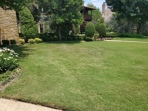 Green Top Lawn Care