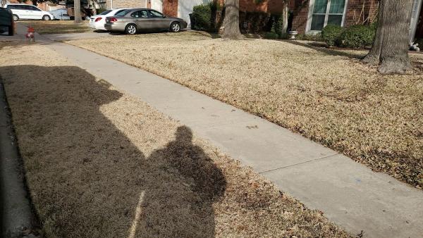 Green Top Lawn Care