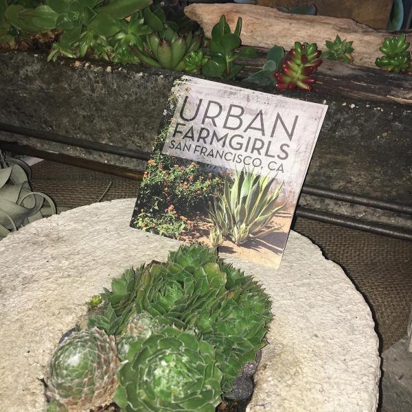Urban Farmgirls Garden Design