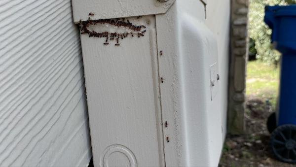 Spartan Pest Service