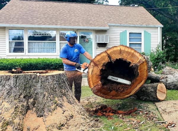 Beyer Enterprises Tree Service