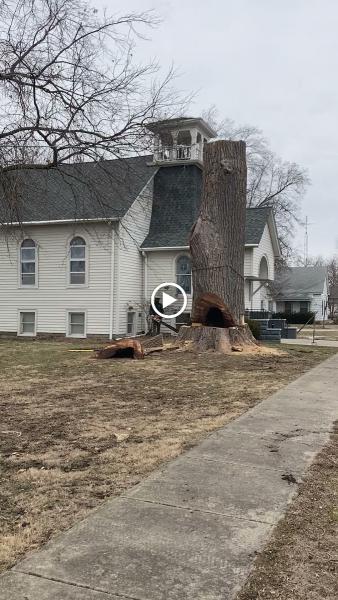 Housley Tree Company