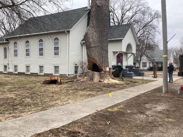Housley Tree Company