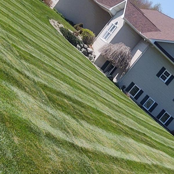 Guys With Ties Lawn Care