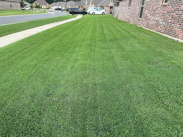 Aspen Turf Solutions