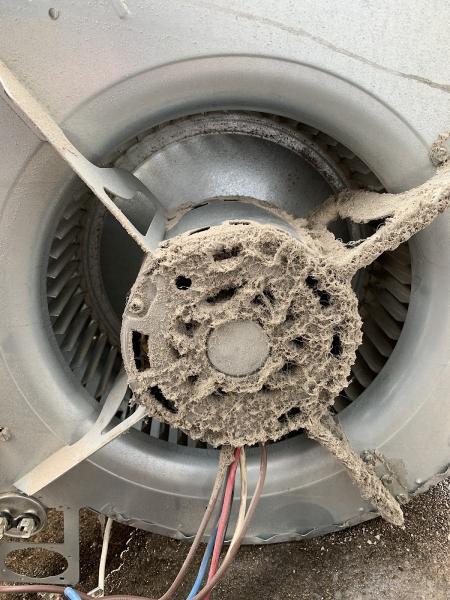 Action Air Duct Cleaning Denver