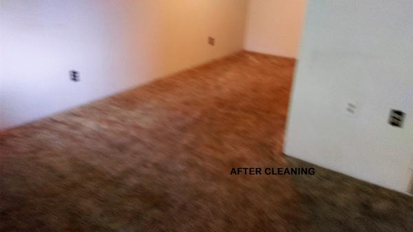 Heavenscent Carpet Cleaning LLC