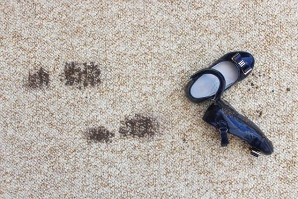 Braxton Cleaning Solutions
