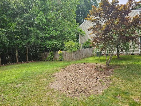 Tree Removal. Amaya Handyman Llc