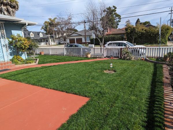 Pacific Landscaping & Tree Service INC