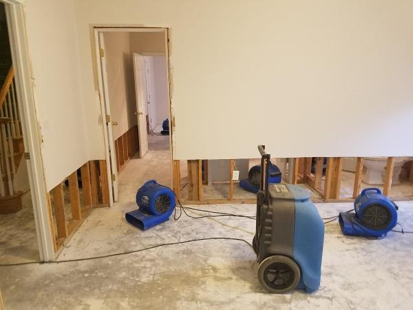 Rapid Restoration