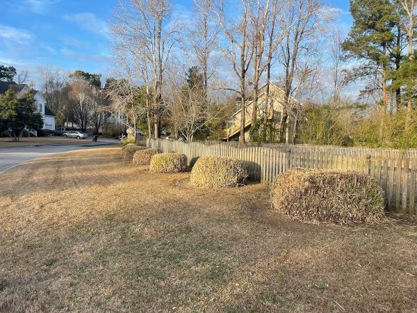 Cape Fear Lawn Masters