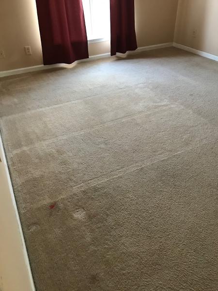 Bentley's Professional Carpet