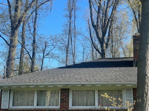 Royalty Roofing