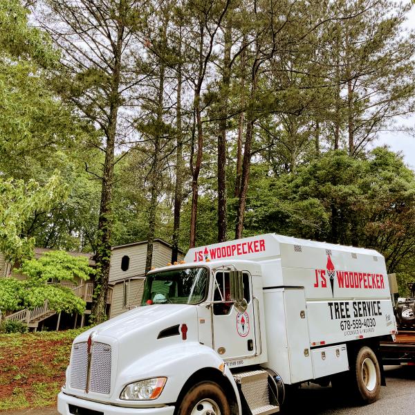 J'S Woodpecker Tree Service LLC