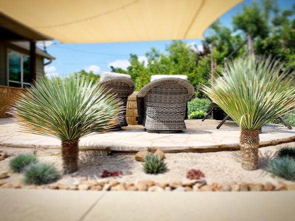 Serene Landscape Design