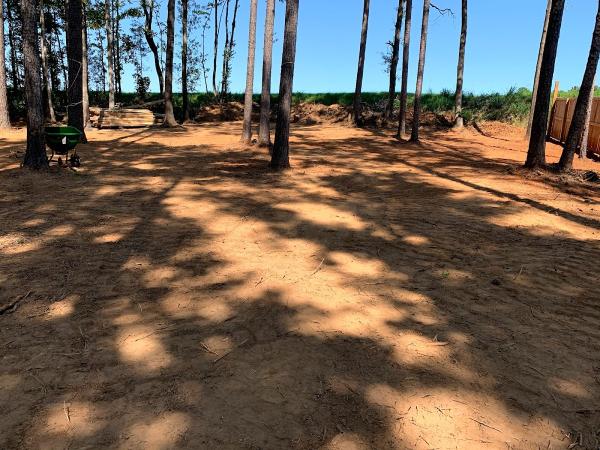 Solutions Concrete and Tree Service