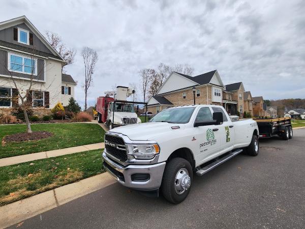 Piedmont Tree Experts