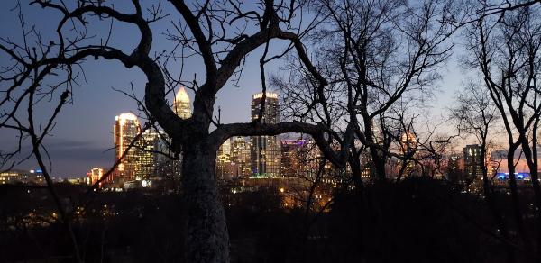 Piedmont Tree Experts