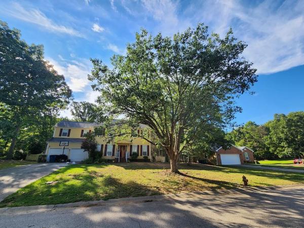 Piedmont Tree Experts