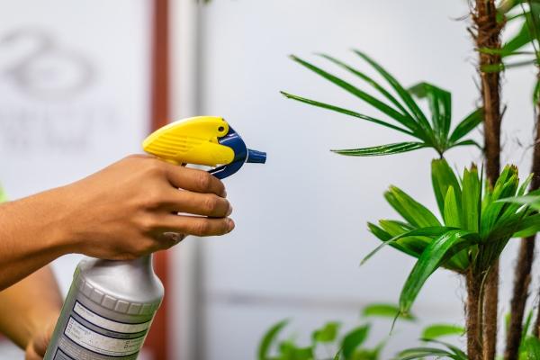 Plant Professor