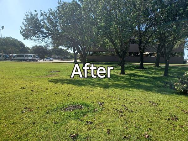 E Mykael Tree Trimming and Removal Service