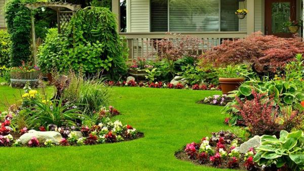 Alpha Zeta Landscaping