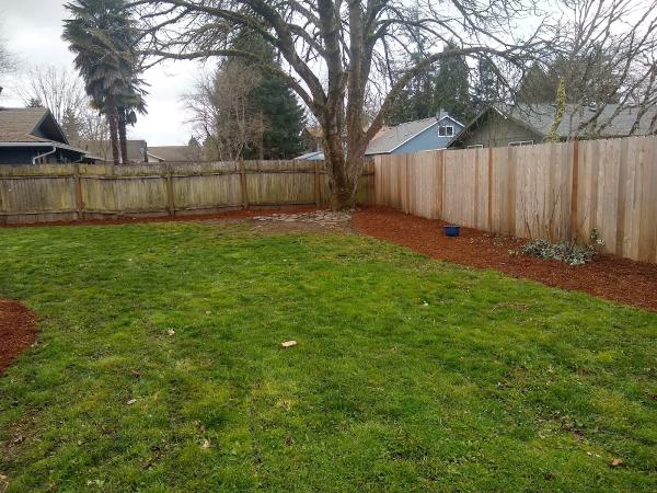Jim Handy Lawn & Handyman Services