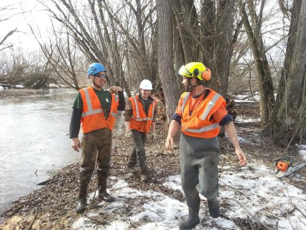 DSI Tree Service