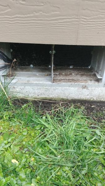 Arbor Pest Control