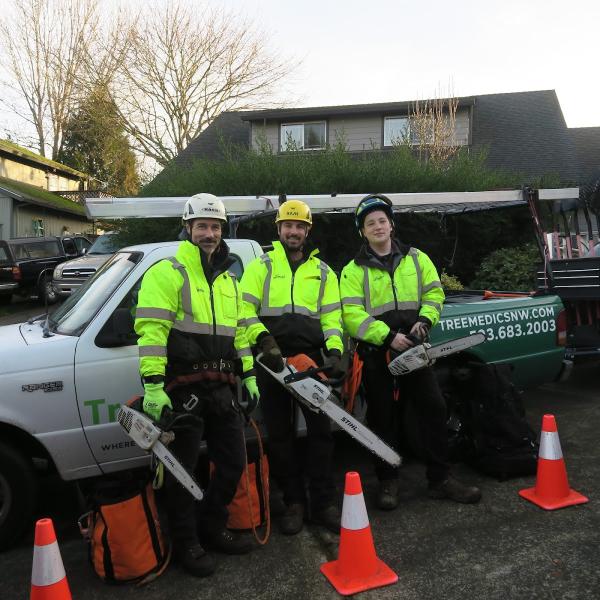 Tree Medics LLC