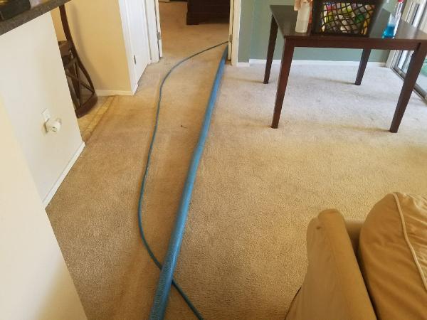 Regal Carpet Cleaning