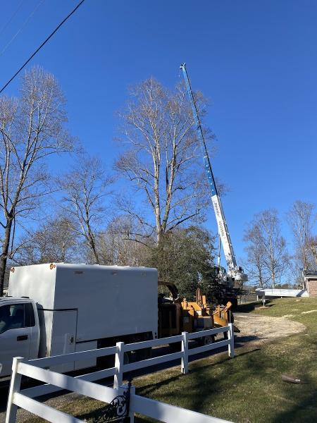 Holbert's Tree Service