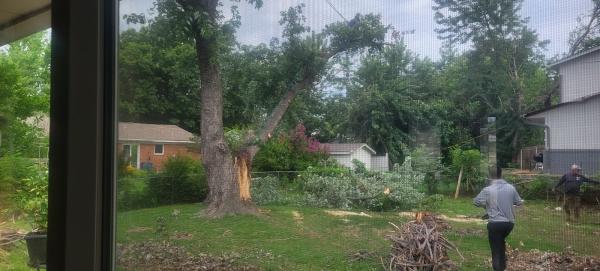 C&F Tree Care LLC