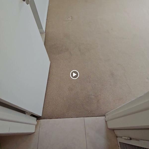 American Pro Carpet Cleaning Service