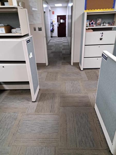 American Pro Carpet Cleaning Service