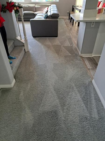 American Pro Carpet Cleaning Service