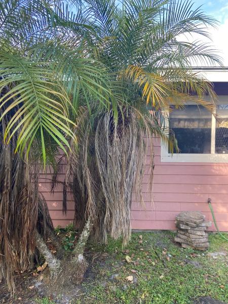 Forbes Mowing and Landscaping LLC