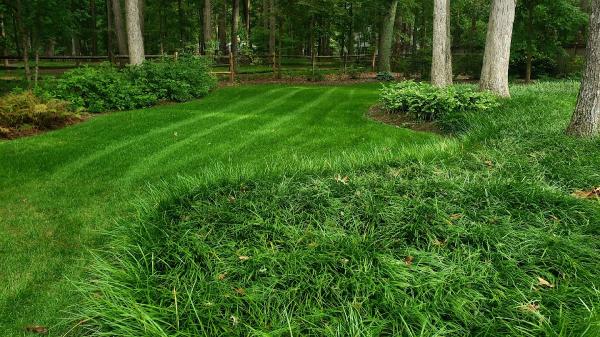 Green Land Lawn Care