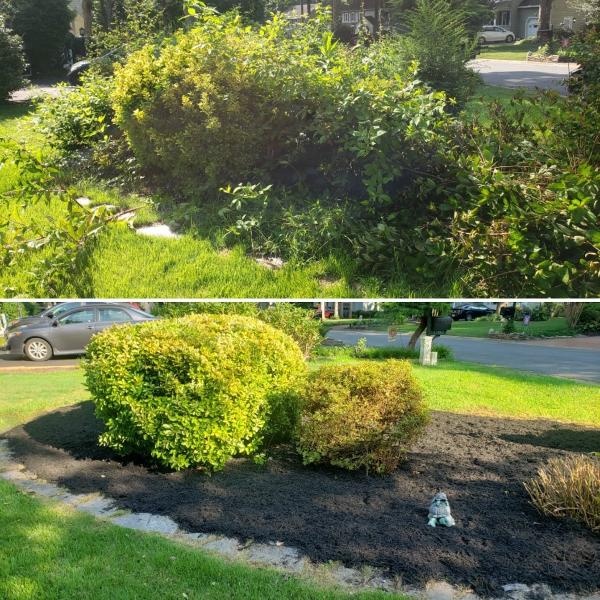 Green Land Lawn Care