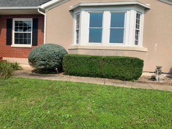 Them Roten Boys Lawn Care