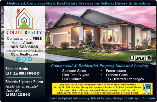 Color Realty Inc. Real Estate Brokerage