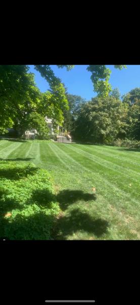 Dylan's Yard Services LLC
