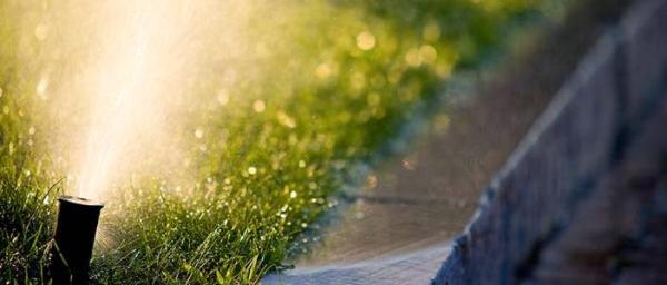 Service Specialists Lawn & Landscaping