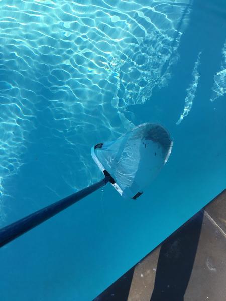 R.C. Pool & Spa