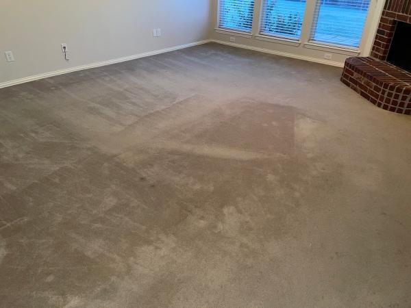 Essential Carpet Cleaning| Two Rooms $99