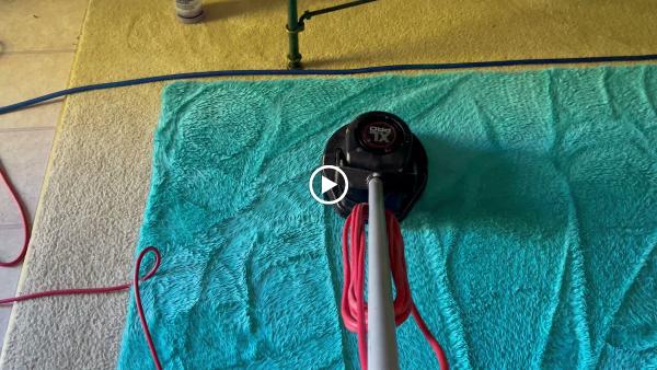 Essential Carpet Cleaning| Two Rooms $99