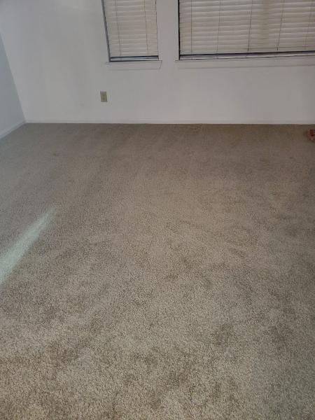 Essential Carpet Cleaning| Two Rooms $99