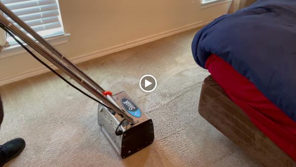 Essential Carpet Cleaning| Two Rooms $99